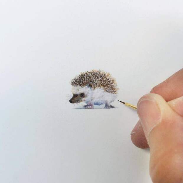 Удивительно точные миниатюрные рисунки Карен Лайбкэп (Karen Libecap) картины, миниатюры
