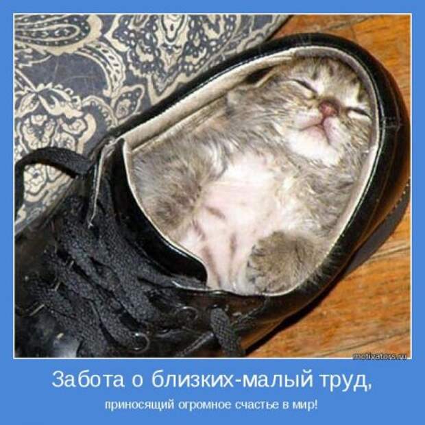 Создаём вокруг себя атмосферу. Мотиваторы.