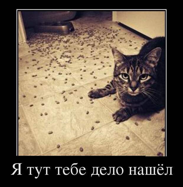 Подборка  демотиваторов демотиваторы, юмор