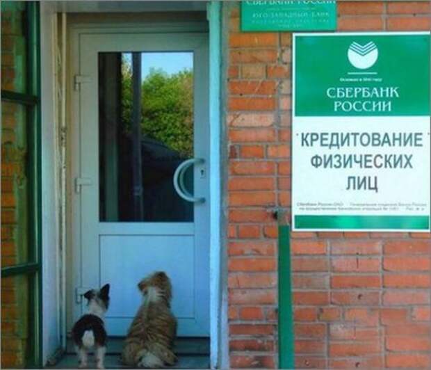 Мани,мани...