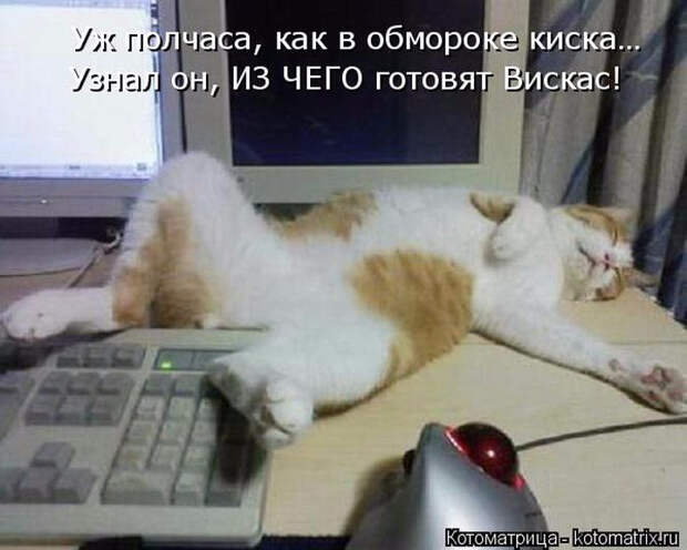 1429216149_37 (700x560, 231Kb)
