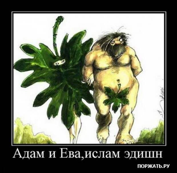 Демотиваторы с приколом, на все вкусы.