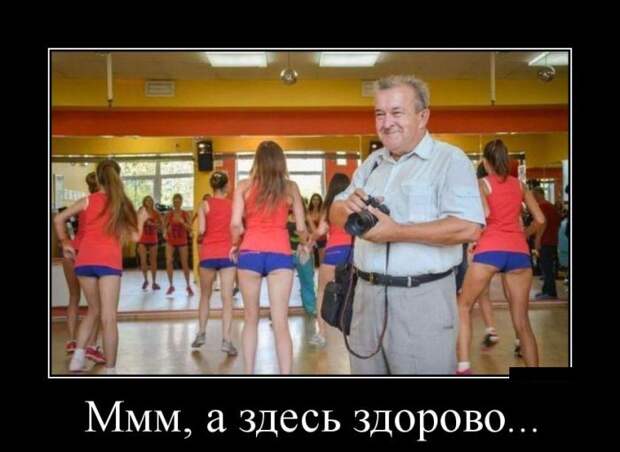 Демотиваторы бревно, демотиваторы, юмор