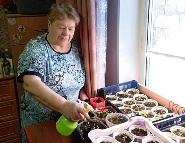 Нижегородка рассказала, как вырастить хорошую рассаду