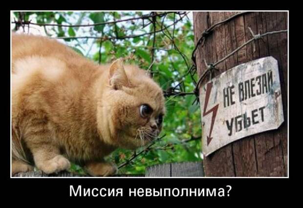 Пятничная подборка демотиваторов демотиватор, юмор