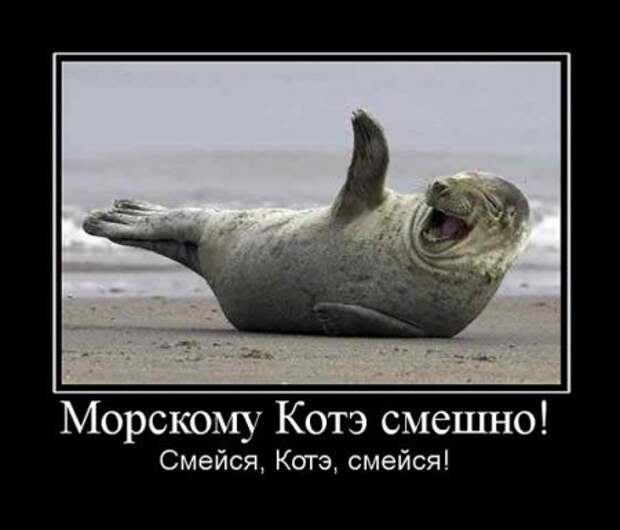 Демотиваторы с приколами, развеселят кого угодно.
