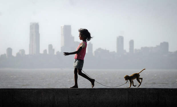 Девочка гуляет со своей обезьянкой на набережной у Аравийского моря в Мумбаи