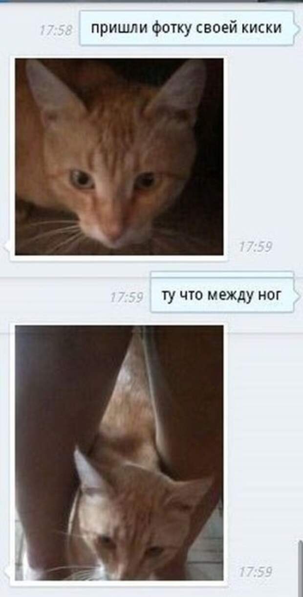 Подборка прикольных фото №1146 (98 фото)
