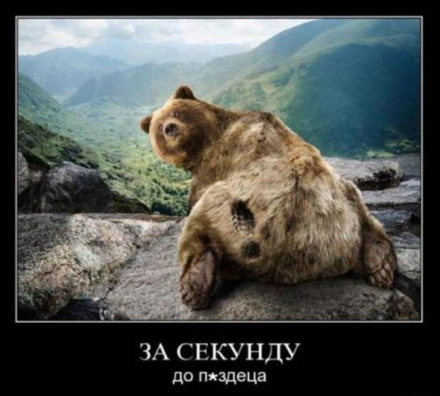 Прикольные демотиваторы, гарантия хорошего настроения.