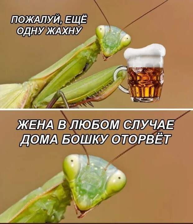 11. Судя по этим мемам, мужики всегда огребают от своих жен. По любому поводу... 11. Судя по этим мемам, мужики всегда огребают от своих жен. По любому поводу...