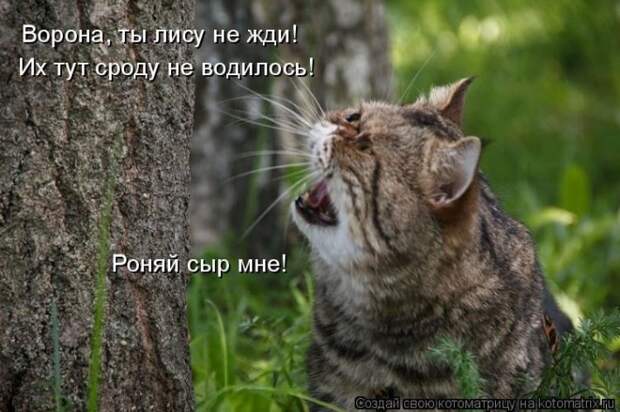 Мысли вслух :) №150118
