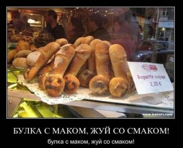 Новые демотиваторы на начало недели!