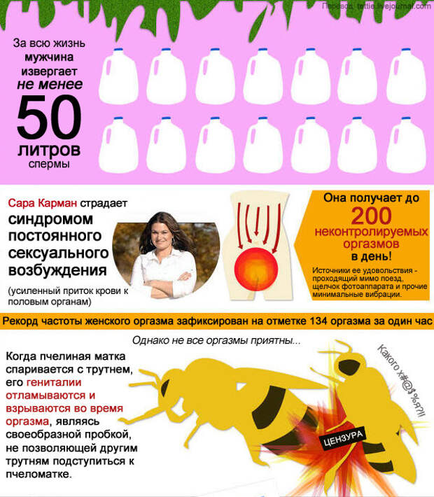 Вся правда об оргазмах оргазм, факты