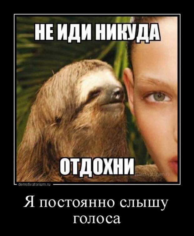 Свежие демотиваторы на Бугаге (19 шт)