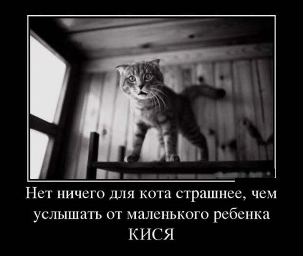 Подборка демотиваторов демотиватор, юмор