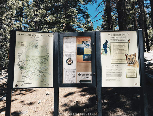 Palm-Springs-Aerial-Tramway-00-25.jpg