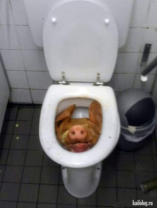 Инсталляция по-русски (45 фото)