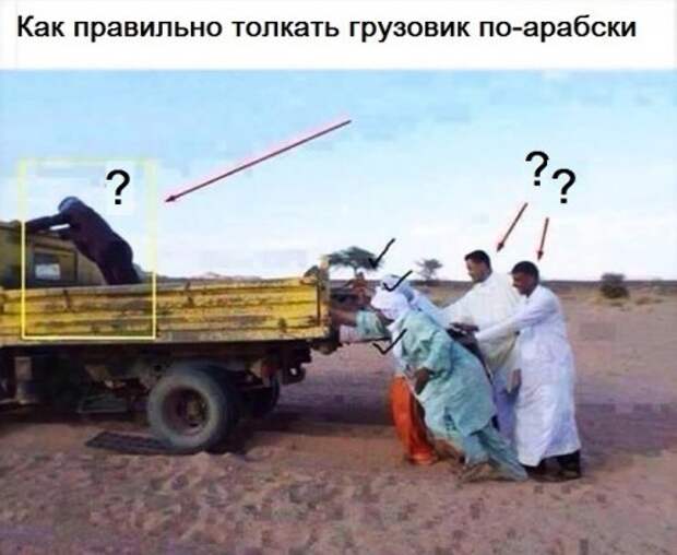АВТОприкольные картинки для хорошего настроеия (31 шт)