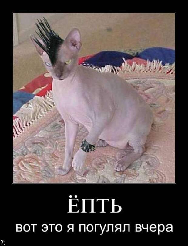 Подборка демотиваторов (84 фото)