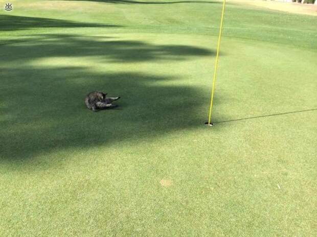 Забавности и оригинальности 37