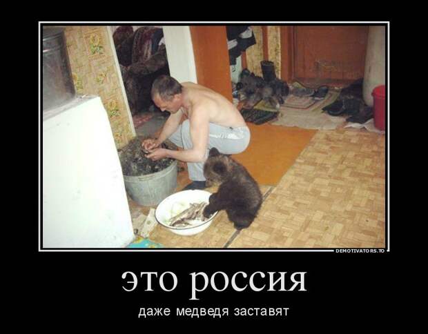 Демотиваторы демотиваторы, прикол, юмор