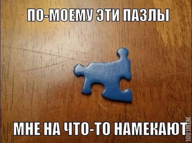 Смешные картинки с подписями катинки, прикол, юмор