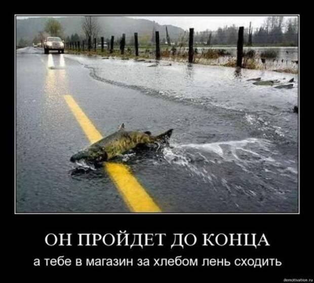 Лучшие демотиваторы со смыслом про дружбу и любовь.