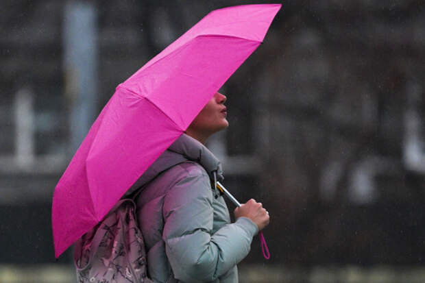 Синоптик Позднякова: в Москве пройдет первый в 2026 году дождь