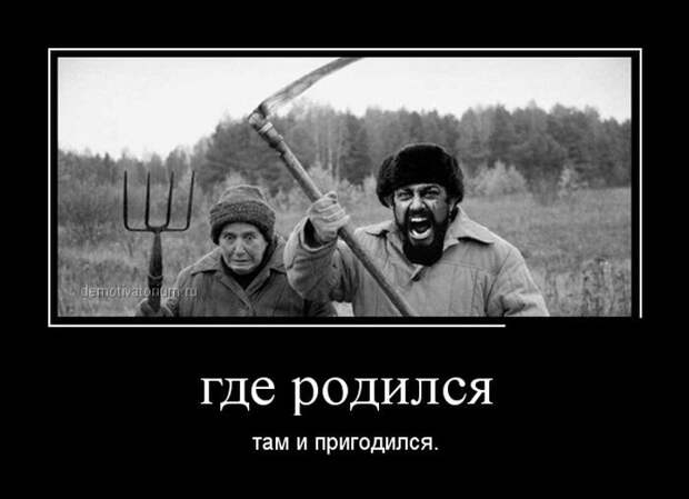 Весёлые демотиваторы - Вы будете улыбаться!