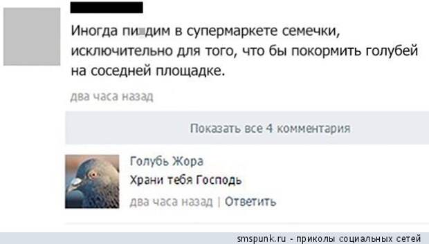 Приколы из социальных сетей и смешные смс-диалоги (30 картинок) Приколы из социальных сетей и смешные смс-диалоги (30 картинок)