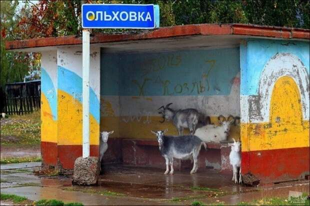 И снова Россия И снова Россия ватник, патриотизм в России, россия, фото