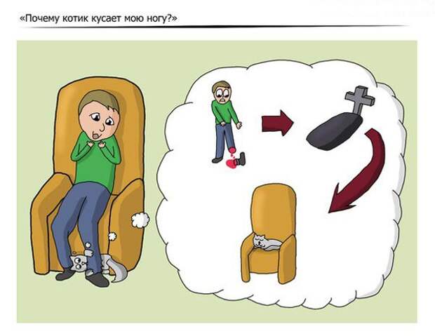 Пятничная подборка приколов Анекдоты, коты, юмор