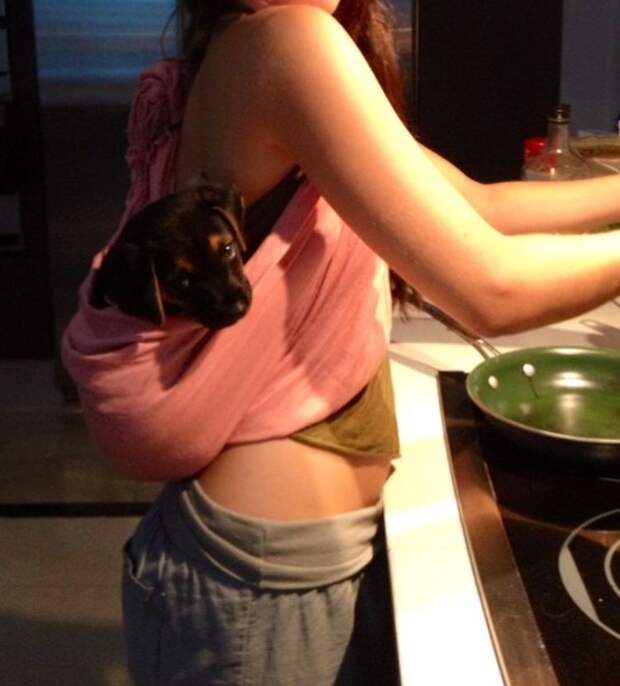 Фотоподборка за 09.12.2013 кадр, прикол, фото, фотоподборка