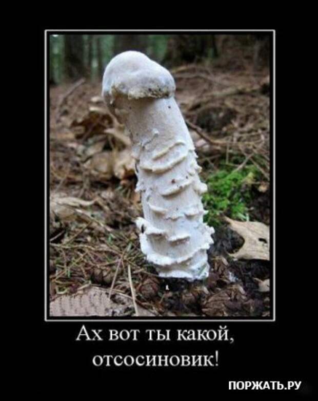 Демотивируйтесь