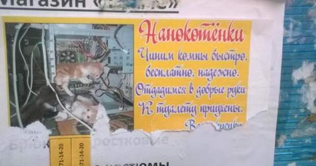 Сумасшедшие инновационные разработки, которые удивят каждого