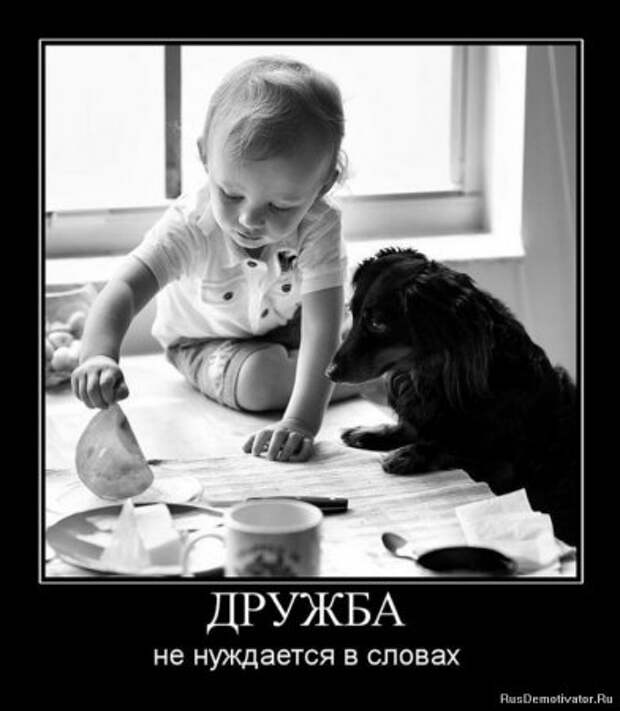 Демотиваторы о дружбе.