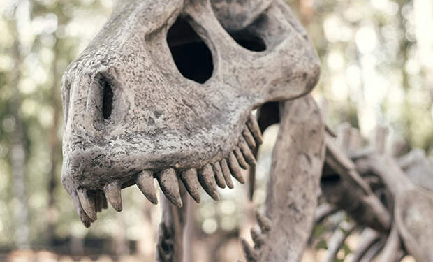 Источник фото: Unsplash