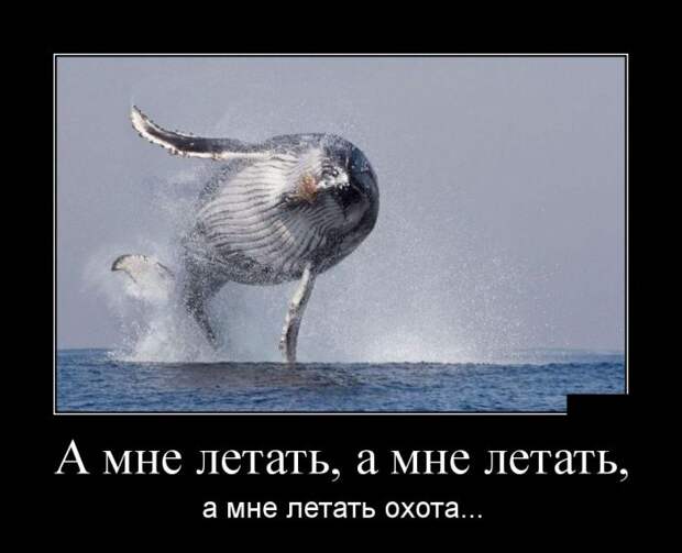Демотиваторы (30 фото)