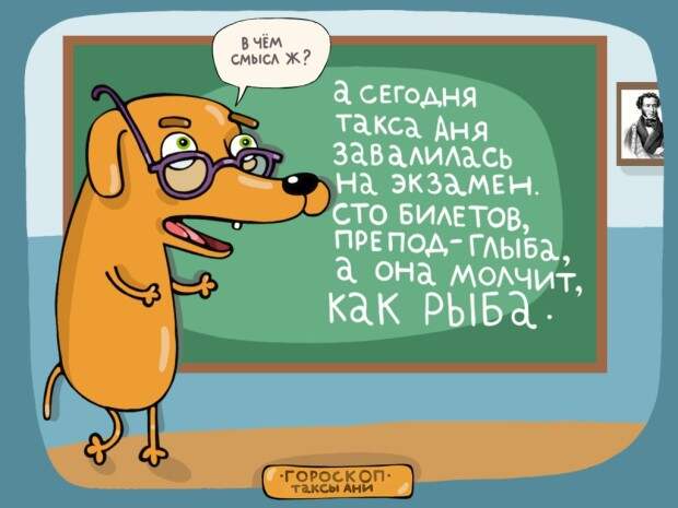 Найди свой знак в гороскопе таксы Ани гороскоп, такса