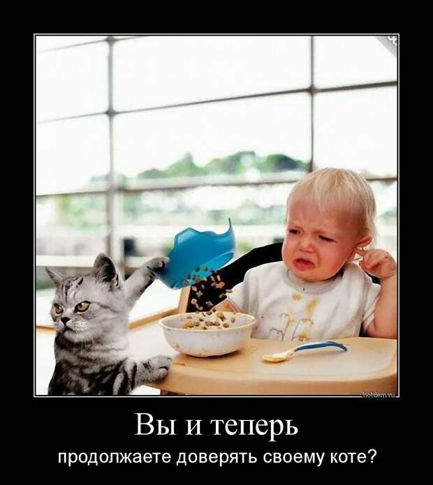 Демотиваторы демотиваторы, прикол, смех, юмор
