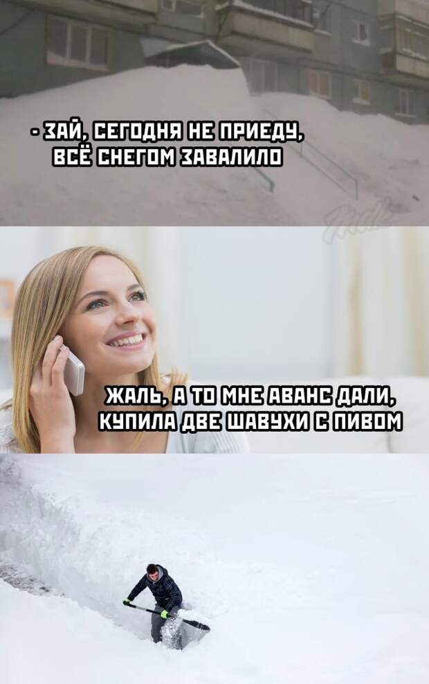 Смешные фото вечер 15 декабря 2020