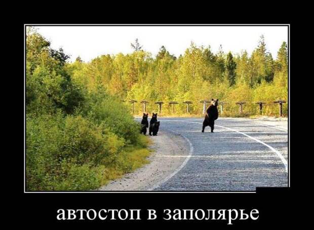 Автостоп в заполярье демотиватор, юмор