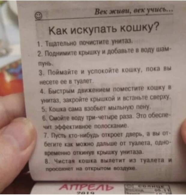 Объявления и надписи, к которым подошли явно не со всей ответственностью Объявления и надписи, к которым подошли явно не со всей ответственностью