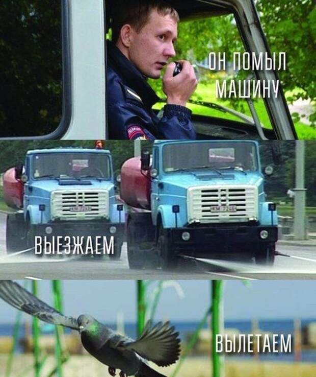 Прикольные картинки (95 фото)