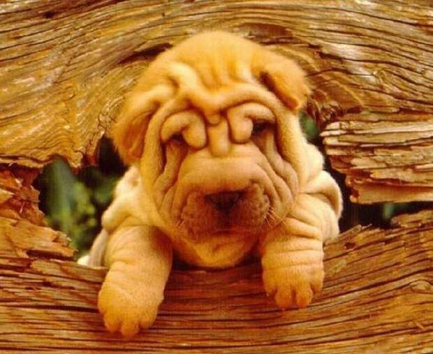 Давайте улыбаться вместе! :)