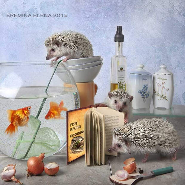 Очаровательные ежики Елены Ереминой
