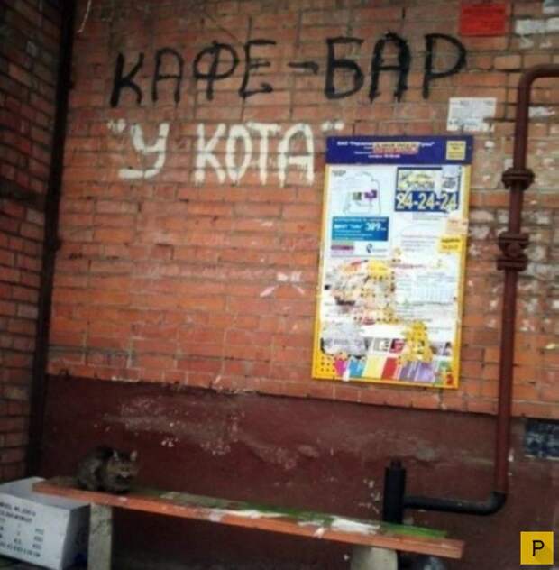 Прикольные объявления и смешная реклама, часть 3 (28 фото)