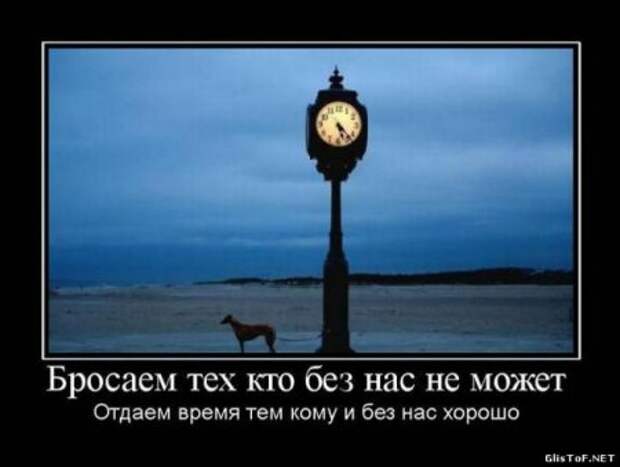 Смешные фразы в демотиваторах высший класс.