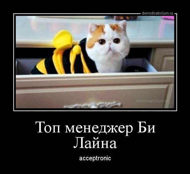 Демотиваторы 