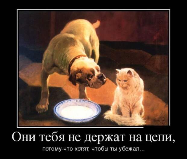 Демотиваторы